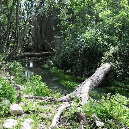 Irene * Çıralı